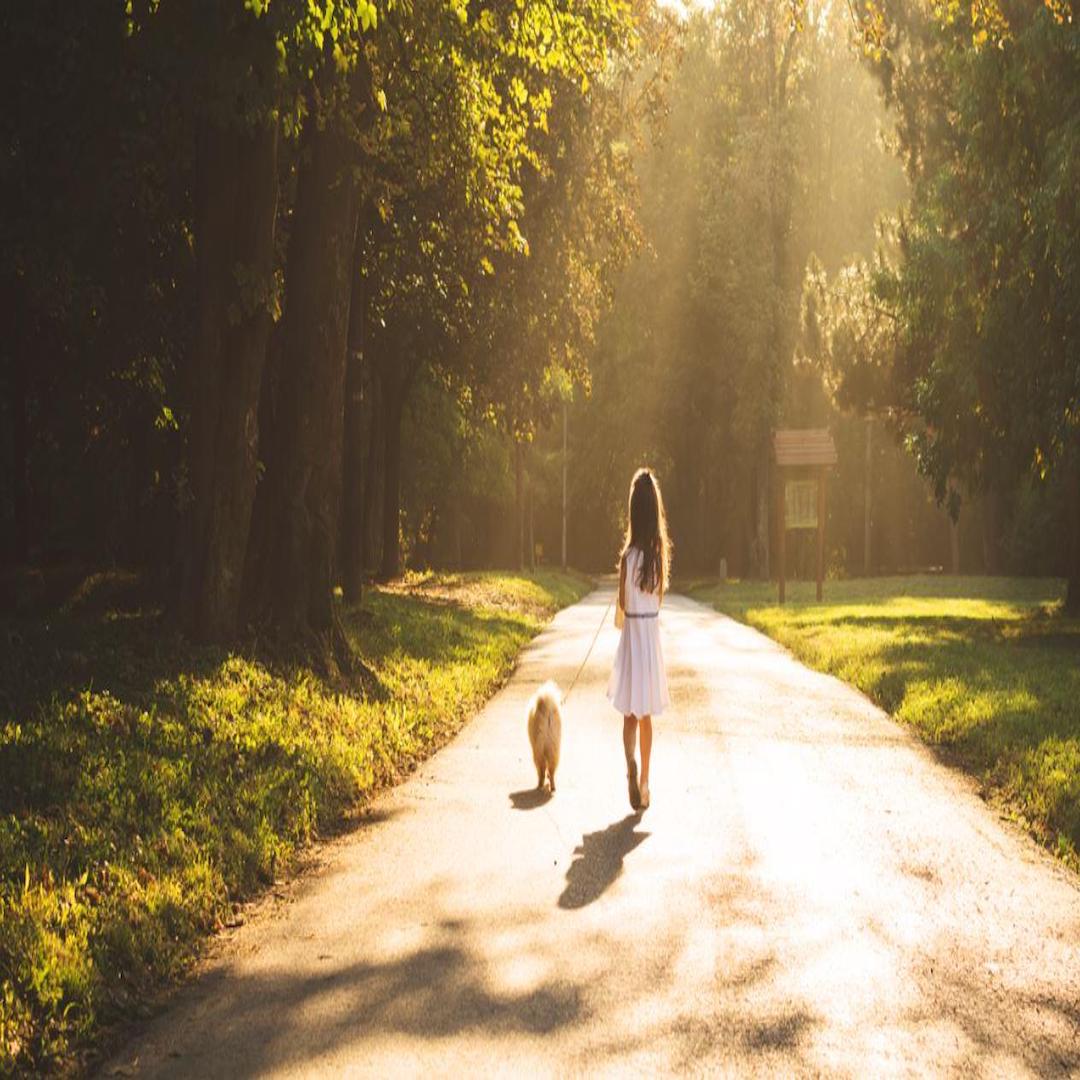 Jefferson Townhomes Townhomes For Sale In Richmond Hill Get All The